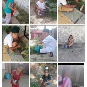 WhatsApp Image 2024-05-31 at 12.34.11 PM (1)