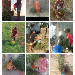 WhatsApp Image 2024-05-31 at 12.34.12 PM (1)